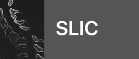 SLIC App, decision support tool for evaluation of cervical spine injuries