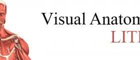 Visual Anatomy Lite (Free) App, an interactive 3D anatomy reference