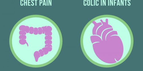 10 Uses For Acorus Calamus (Sweet Flag): Cure-All Wonder Drug Or Grave Danger?