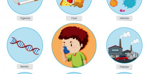 6 Asthma Causes And Triggers: Can You Blame Allergy, Genetics, Food, Heartburn, Exercise, Or Stress?