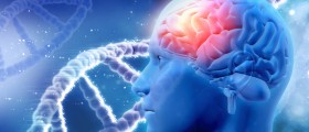 6 Less-Known Types And Rare Diseases Related To Dementia