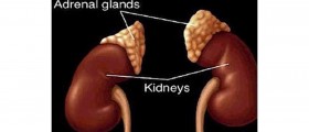 Adrenalectomy surgical techniques and the reasons why