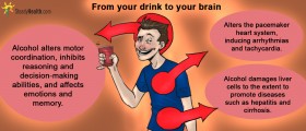 Alcohol Effects On The Body