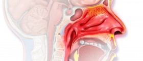 Controlling The Symptoms Of Allergic Rhinitis