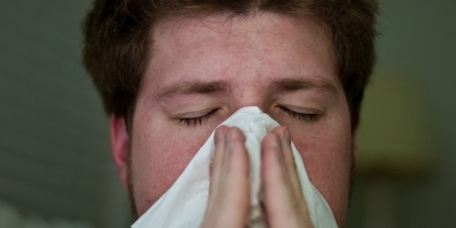 Best Apps to Help You Track and Manage Your Seasonal and Food Allergies