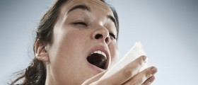 Allergies: An Overactive Immune System