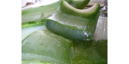 Natural Treatment For Eczema - 10 Simple and Quick Steps