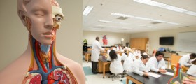 Replacing Cadavers in Medical School: Best Mobile Apps for Learning Anatomy