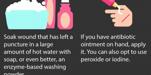 Animal Bites: What First-Aid Protocol Should You Follow?