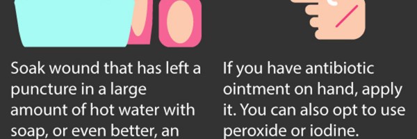 Animal Bites: What First-Aid Protocol Should You Follow?