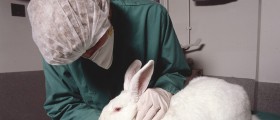 Is Animal Research Still Necessary?