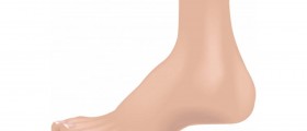 Rehabilitation Tips and Exercises for Ankle Sprain