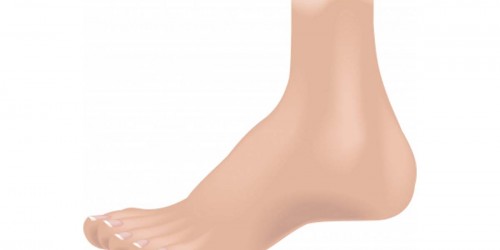 Rehabilitation Tips and Exercises for Ankle Sprain