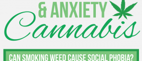 Cannabis: Effective Relaxation Technique For Anxiety Or Risk Factor For Social Phobia?