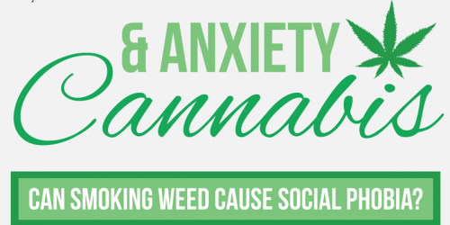 Cannabis: Effective Relaxation Technique For Anxiety Or Risk Factor For Social Phobia?