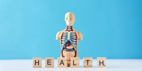 Aortic Disease: How Do Different Types Of Aneurysms Impact Your Life And Health?