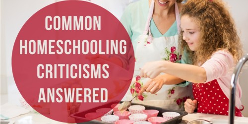 'Are You Sure You're Not F*cking Your Kids Up?': Common Homeschooling Criticisms Answered