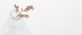 How to Use Aromatherapy for Nausea