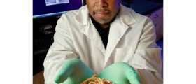 How Far Would You Go Just to Lose Weight? Would You Eat Parasitic Worms?