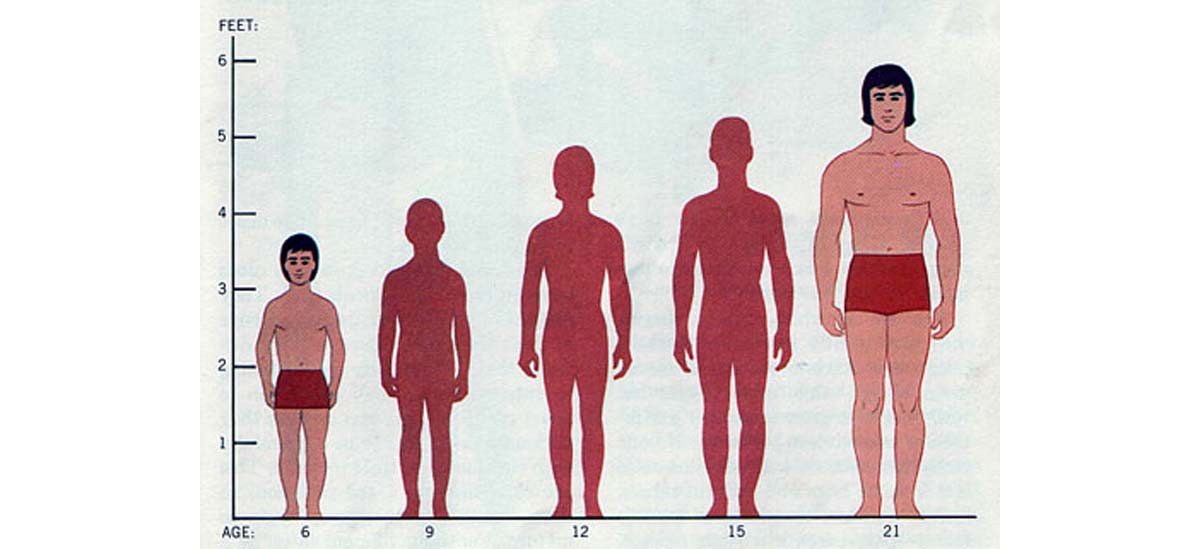 average male height