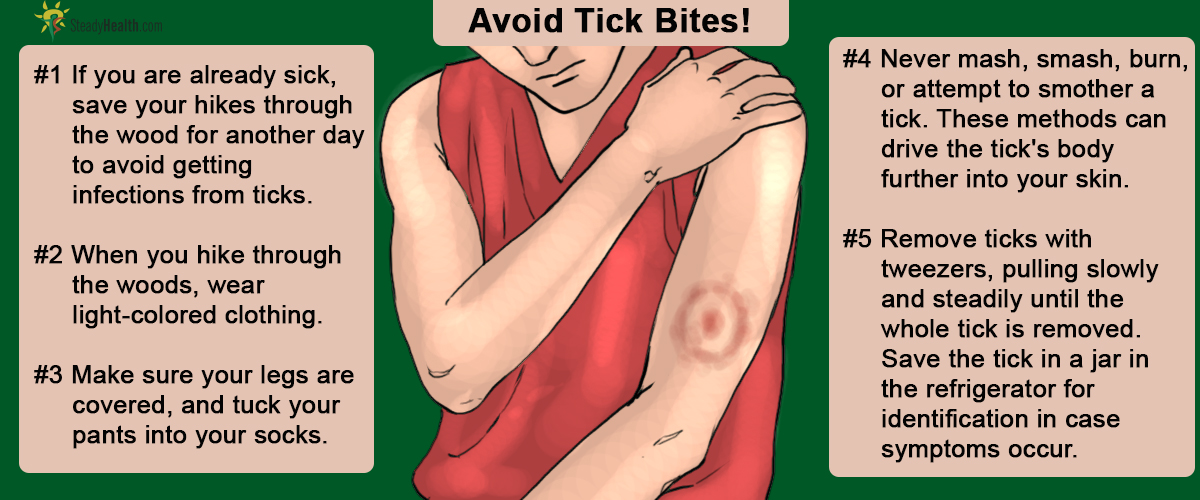 tick bite on dog