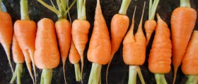 What You Don't Know About Baby Carrots