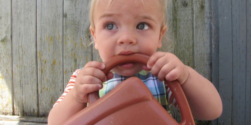 A parents' guide to losing baby teeth