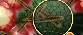 Persistent Bacterial Infections And Resistance To Antibiotics