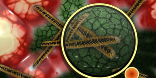 Persistent Bacterial Infections And Resistance To Antibiotics