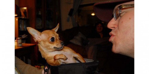 Bad Breath and Your Health:  Are They Connected?