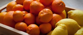 What Is An Antioxidant Anyway?