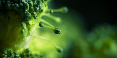 Making Broccoli Tasty As Well As Healthy