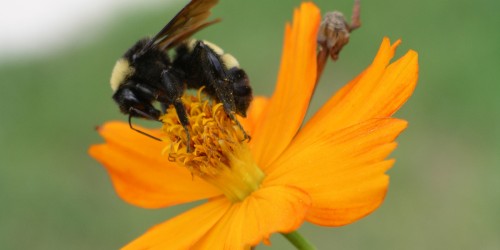 Think Your Child May Be Suffering From Seasonal Allergies?