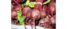 Nutritional Advantages of Beets