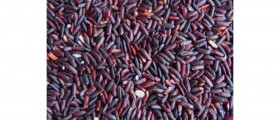 Black Rice -The New Superfood?
