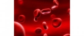 11 Natural Products for Ideal Blood Circulation
