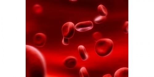 National Aplastic Anemia and MDS Awareness Week