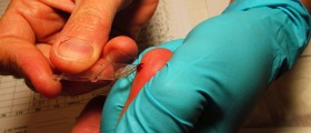 Medical Tests For Men And Women At Every Age: What To Test And When