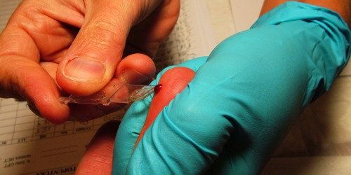 Medical Tests For Men And Women At Every Age: What To Test And When