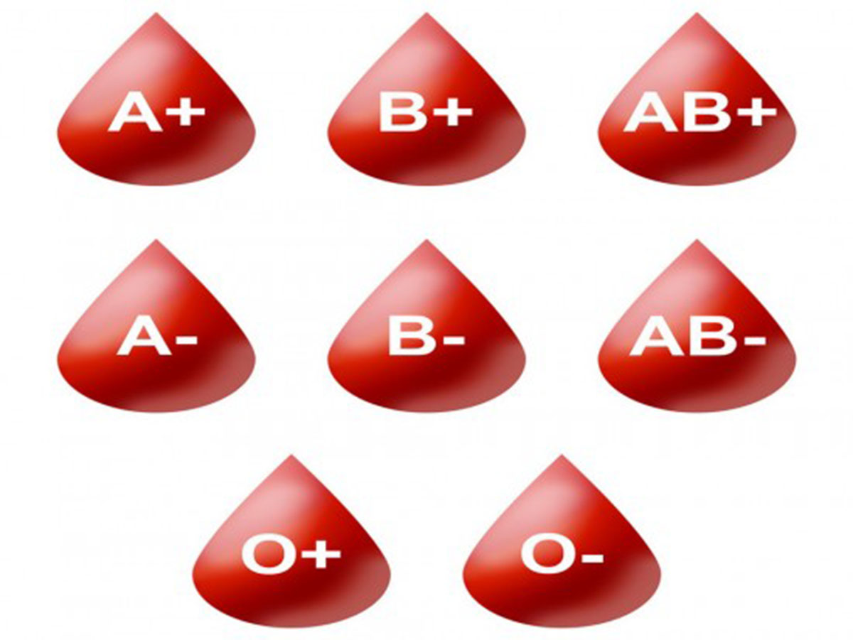 study-blood-type-diet-hypothesis-false-nutrition-dieting-articles