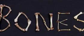 Beyond Osteoporosis: How To Promote Bone Health