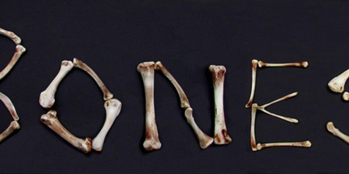 Beyond Osteoporosis: How To Promote Bone Health