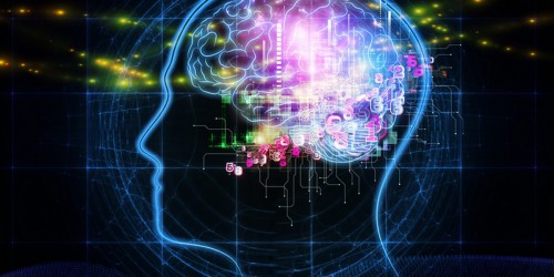 Gone Once, Gone Forever: Body Parts That Cannot Be Replaced