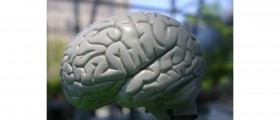 Vascular Dementia: Symptoms, Diagnosis and Treatment