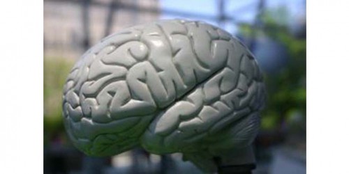 Vascular Dementia: Symptoms, Diagnosis and Treatment