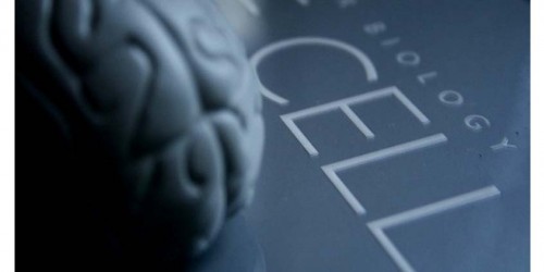 An Ayurvedic Alternative To L-dopa For Some Parkinson's Patients