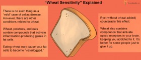 What Your "Gluten Sensivity" May Really Be