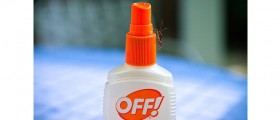 How To Make Your Own Bug Repellent With Natural Ingredients