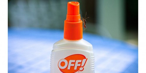 How To Make Your Own Bug Repellent With Natural Ingredients