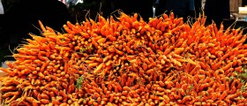 The Anti-Cancer And Other Properties Of Carrots
